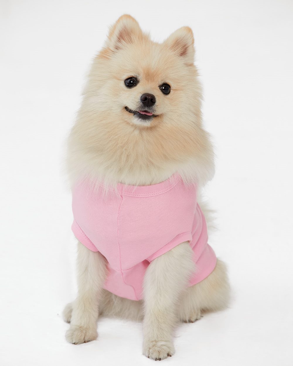 Sleeveless Dog Shirt